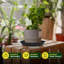 Soucoupes pour plantes robustes en plastique 8 po (paquet de 6)-1146336223-1146647298