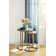 Murguia Cotton Chevron Indoor Rug