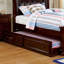 Lit Saltsman avec lit gigogne Harriet Bee-796047295-796045358