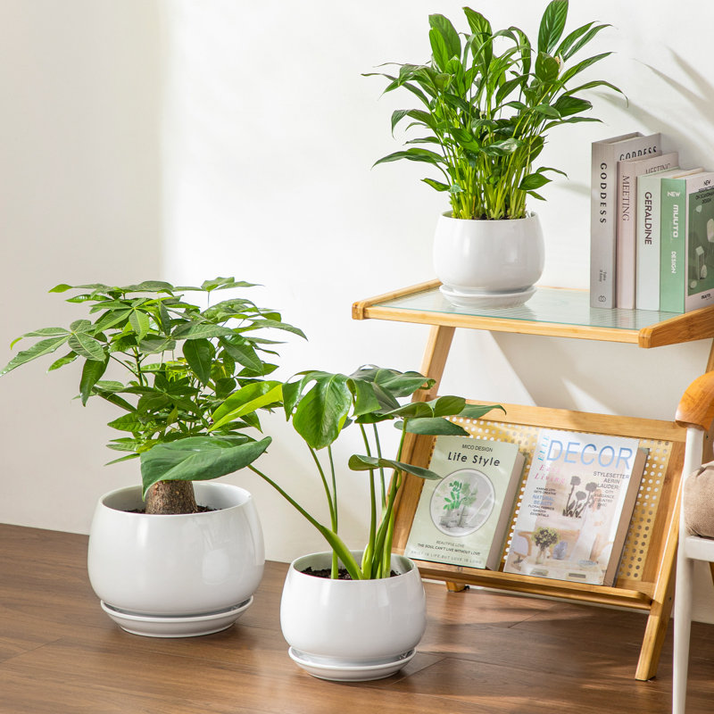 TYHPOT Ceramic Pot Planter, White