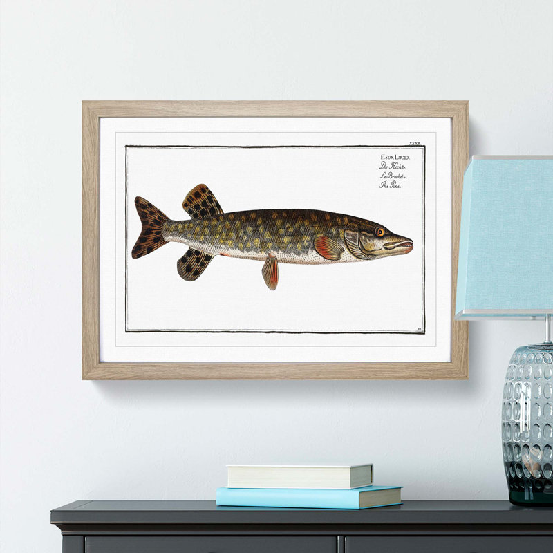 Pike Fish by M.E. Bloch - Picture Frame Painting Print on MDF, Oak Framed, 36cm H x 48cm W x 2cm D