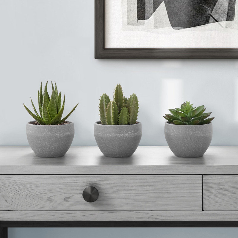 Ensemble de plantes grasses artificielles en pot 6 pouces avec 3 pots décoratifs en ciment gris pour une présentation intérieure
