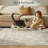 Vintage Tribal Oriental Area Rug with Non-Slip Backing - Distressed Beige Faux Cashmere Washable Rug for Bedroom & Living Room-945296333