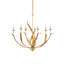 Menefee 6 - Light Chandelier