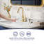 Robinet de salle de bain rétractable High Arc, poignée simple en or brossé avec douchette extractible et bonde escamotable, robinet d'évier de buanderie de bar pour véhicule récréatif à 1 ou 3 trous 2 modèles avec plaque de pont