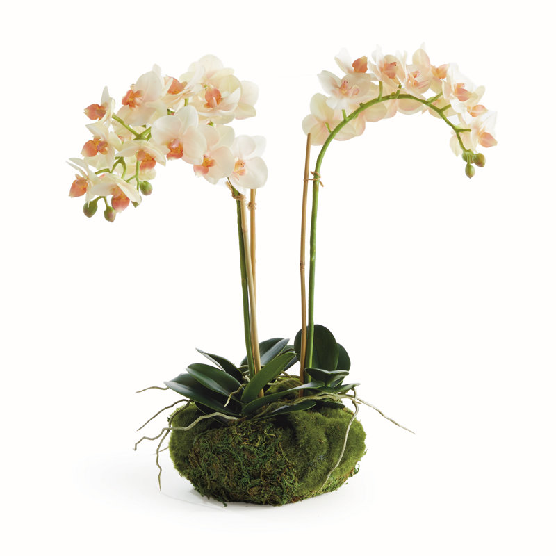 Light Pink Orchid 16" Mini Garden Drop-In