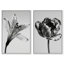 Peeking Flowers Set Set by Oliver Gal