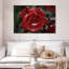 Rose rouge Harnek-108714369
