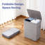 Double Laundry Hamper With Lids Removable Bags Dual Compartments For Sorting Clothes