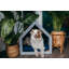 Ecological Hut Pet Cage-66049276-66049286