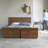 Loggia Solid Wood Blanket Chest