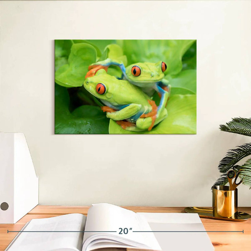 Grenouilles dans une étreinte, H 8 po x l 12 po