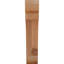 Attelle de genou olympique-31229519-29309935-31230593