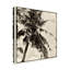 « palm tree sépia ii », reproduction de photo sur toile tendue-33425284