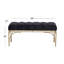 Banc Dayzia-130113547-130113548