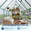 Serre en polycarbonate avec cadre en aluminium, 6 pi x 9 pi, évent de toit inclus, pour l'extérieur-125765282-125904881