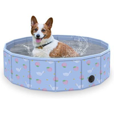 Piscine en plastique LUCKUP