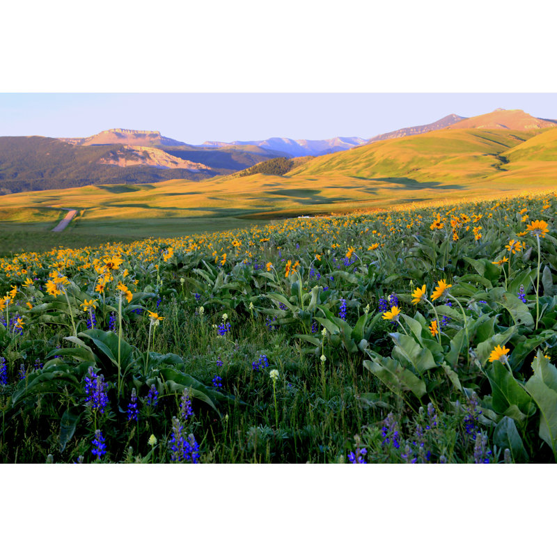 «Early Morning Rocky Mountain» - Photographie sur toile tendue, H 8 po x l 12 po