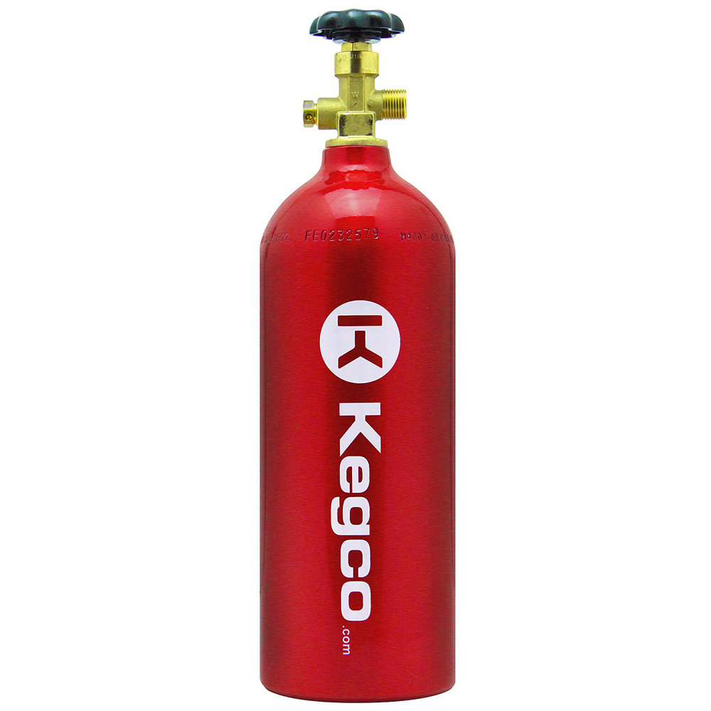 Kegco Premium 2-Tap Door Mount Kegerator Conversion Kit with 5 lb. CO2 Tank | Fridge.com