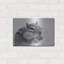 "Chippy" par Lori Deiter-37706904