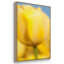 Jaune soleil I 3 pièces-526785691-526785692