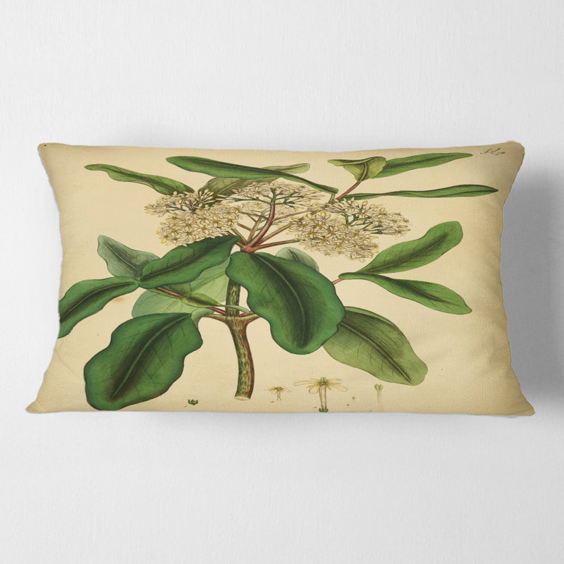 Housse et insert pour coussin rectangulaire Plant Life I