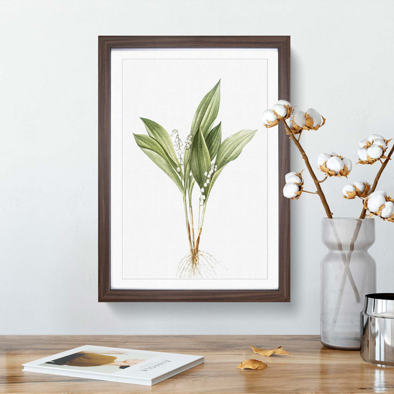 Lily of the Valley by Pierre-Joseph Redoute - Picture Frame Painting Print, 48cm H x 36cm W x 2cm D, Walnut Framed
