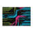 Cybernetic Grid Indoor And Outdoor Area Rug-741058609