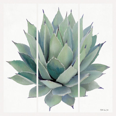 «Agave Triptych» par Stellar Design Studio - impression