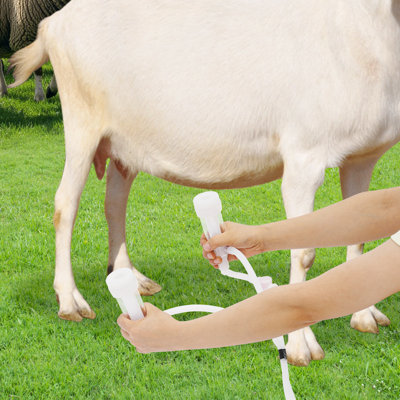 Machine à traire électrique pour vache avec seau de 5 L / 1,32 gallons