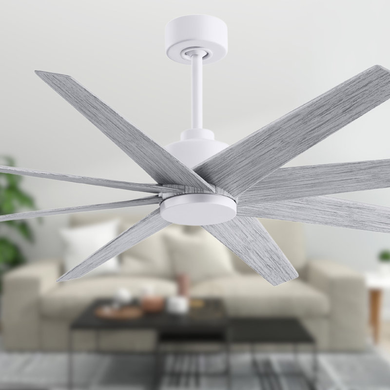 Ariella - Eight Blade Ceiling Fan - Brushed Brass Finish - Matte Black Blades, Matte White, Barn Wood Tone