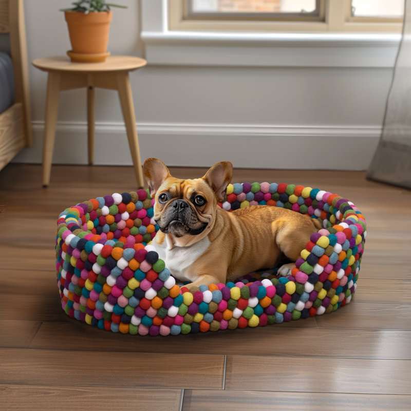Lit pour animal en laine tricoté à la main MODWOOL l 24 po (multicolore), H 6,5 po x l 24 po x P 17 po