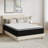 8"/10"/12" Plush Pillow Top Mattress - Sleep by Wayfair™-66575446-122530497