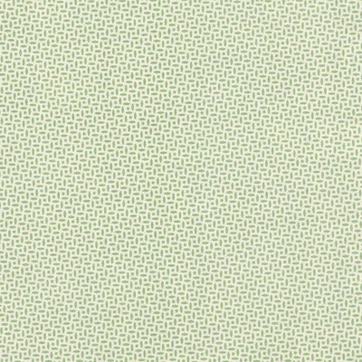 Tissu Schumacher x Veere Grenney Berrydown