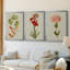Botanical Array VI - Toile tendue avec châssis sur mesure - 3 pièces-916200998-916200994