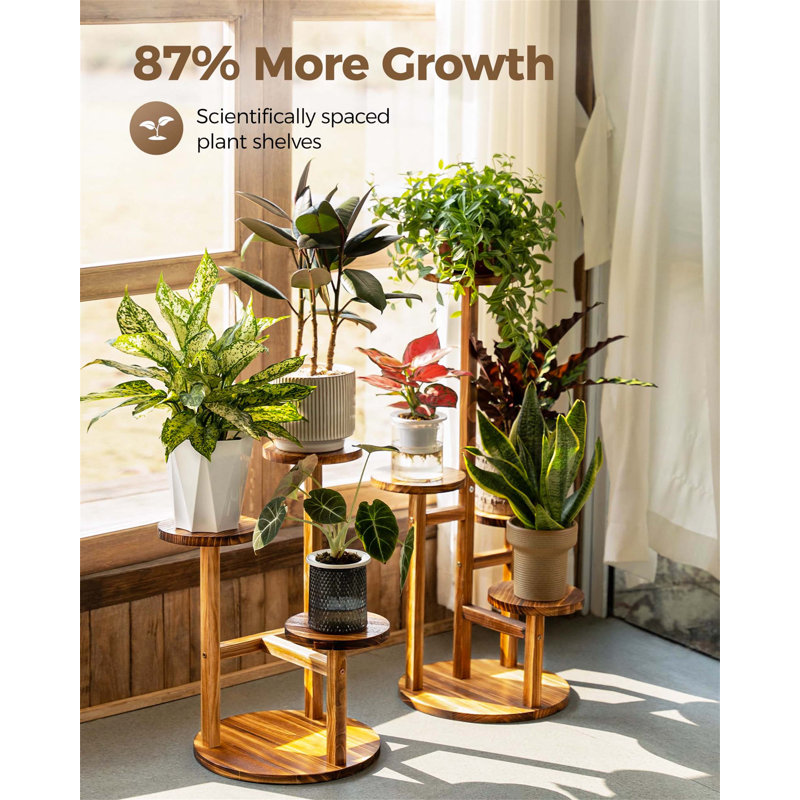Plant Stand