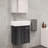 Colmer 18" Wall-Mounted Bathroom Vanity-1591587162