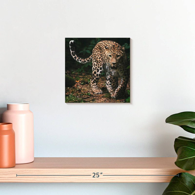 Brampt Wild Persian Leopard, 10" H x 10" W