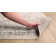 Benoit Oriental Charcoal/Light Beige Area Rug
