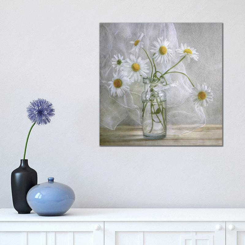 Daisies by Mandy Disher - Wrapped Canvas Gallery-Wrapped Canvas Giclee, 45.72 cm H x 45.72 cm W x 3.175 cm D
