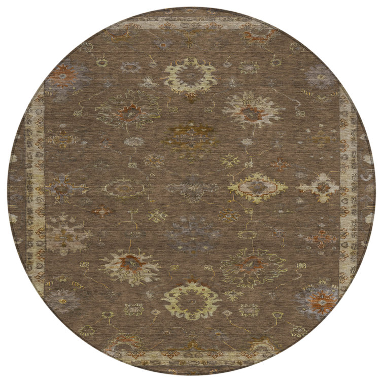 Machine Washable Indoor/Outdoor Xhevrie Chocolate Rug
