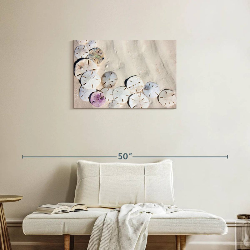 Beach Sand Dollars, 20" H x 30" W