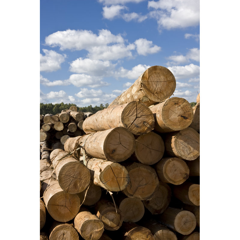 Logs at The Lumberyard de Kycstudio, H 18 po x l 12 po