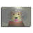 " Labradoodle " by Lanre Adefioyue