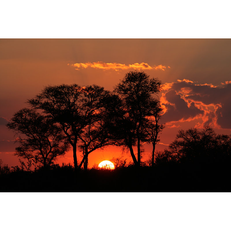 Savanna Sunset by EcoPic - Wrapped Canvas Print, 30cm H x 46cm W