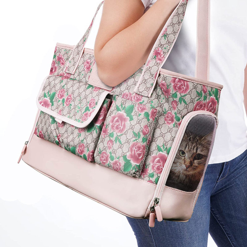 Plastic Pet Carrier
