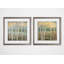 « nature palette », ensemble de 2 reproductions encadrées-27610005