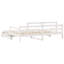 Rhania Solid Wood Daybed with Trundle-1246087667-1246087665