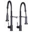 Apollo Pull Down Single Handle Kitchen Faucet with Side Spray and Accessories-1144738527