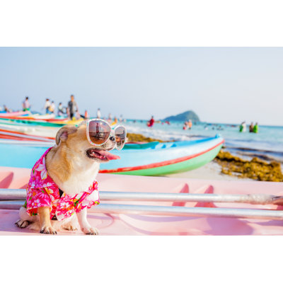 Dog On The Beach by Titiya - Wrapped Canvas Print
